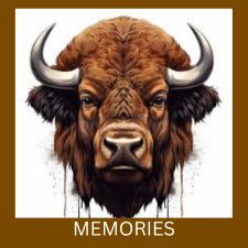 MEMORIES